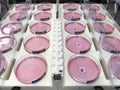 Cell culture dishes loaded on automated liquid handling instrument. Royalty Free Stock Photo